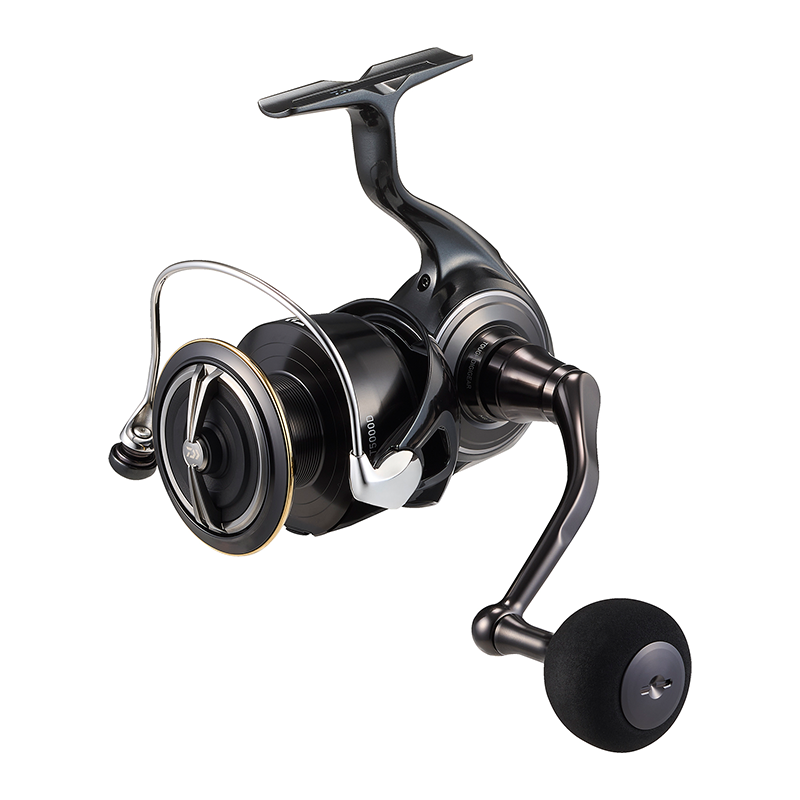 DAIWA 2026 Certate HD Angelrol – Shimano Reel Stradic Bewertung und Preis